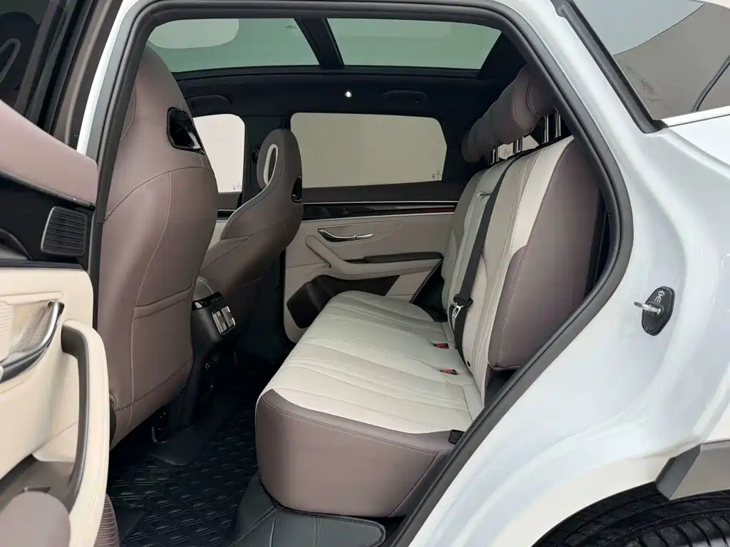 BYD PLUS New Energy — миниатюра 17