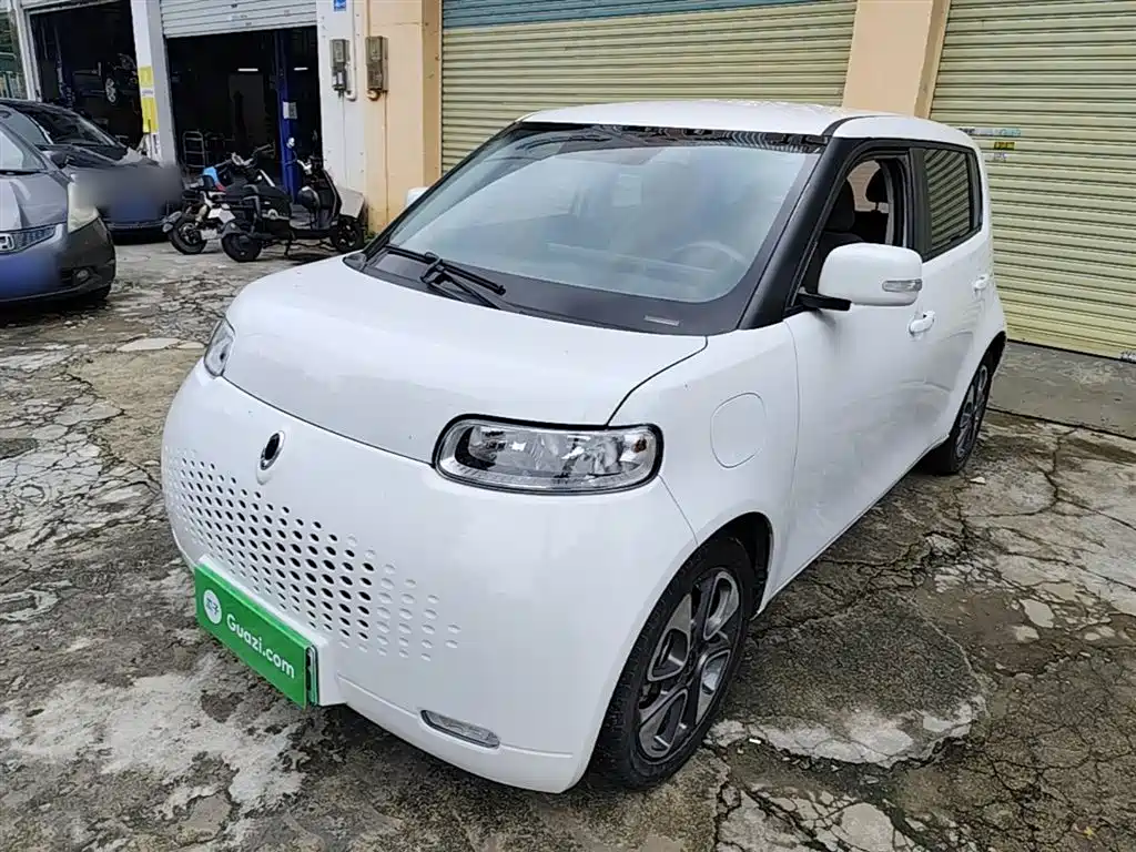 Ora Ora White Cat 2021