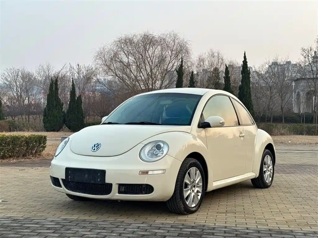 Volkswagen Beetle 2010