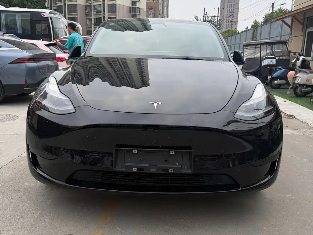 Tesla Model Y — миниатюра 2