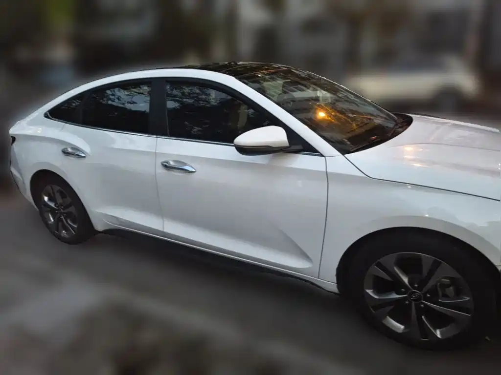 Hyundai Fista — миниатюра 24