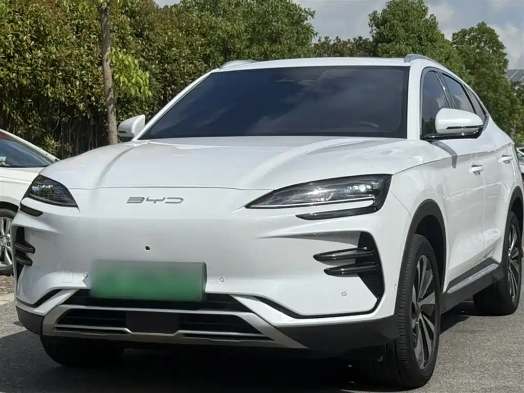 Byd PLUS New Energy 2024
