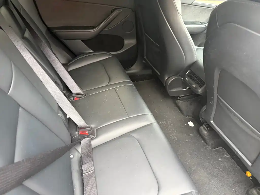 Tesla Model Y — миниатюра 7