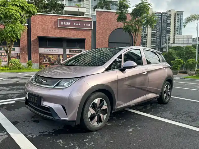 2024 BYD Dolphin