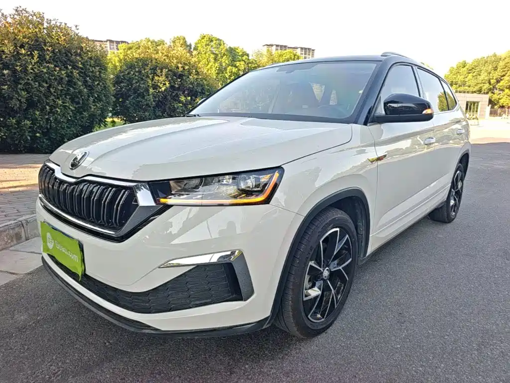 Skoda Kamiq — миниатюра 2