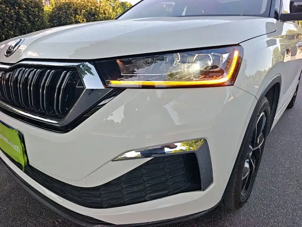 Skoda Kamiq — миниатюра 24