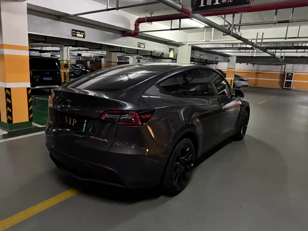 Tesla Model Y — миниатюра 11