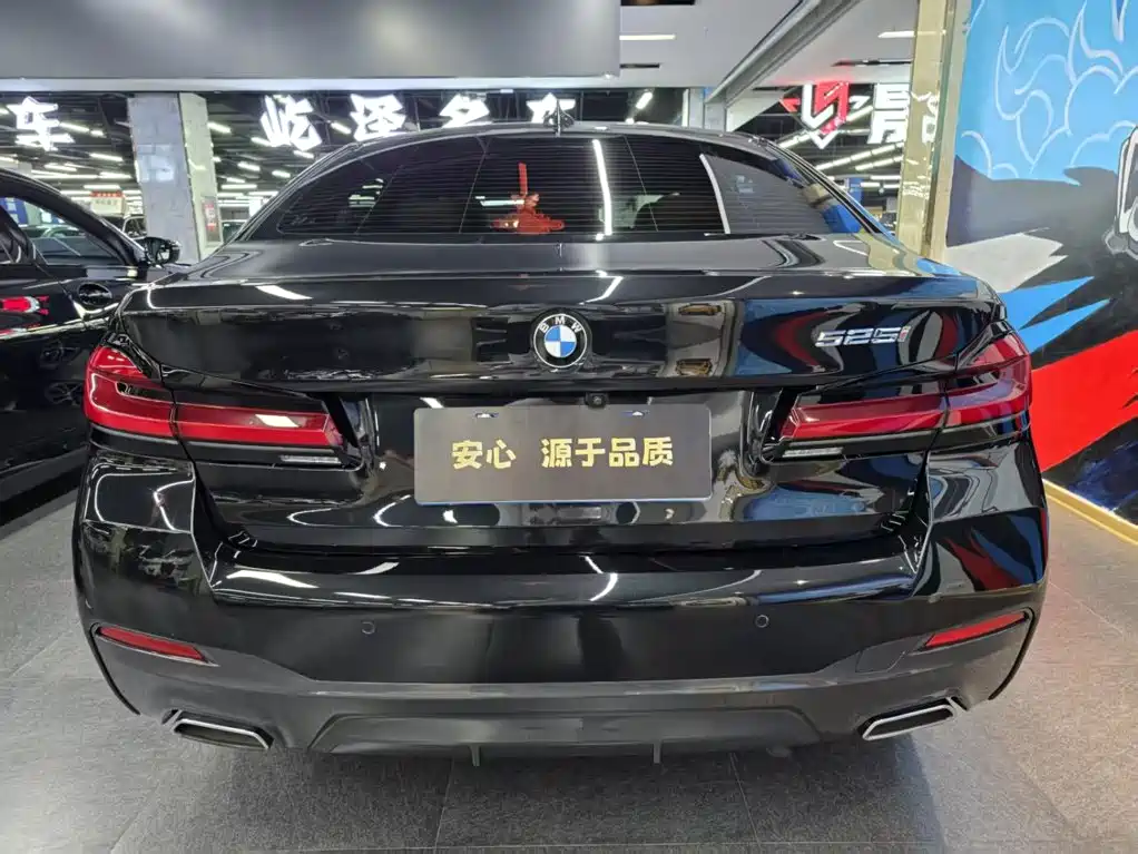 BMW 5 Series (Import) — миниатюра 4