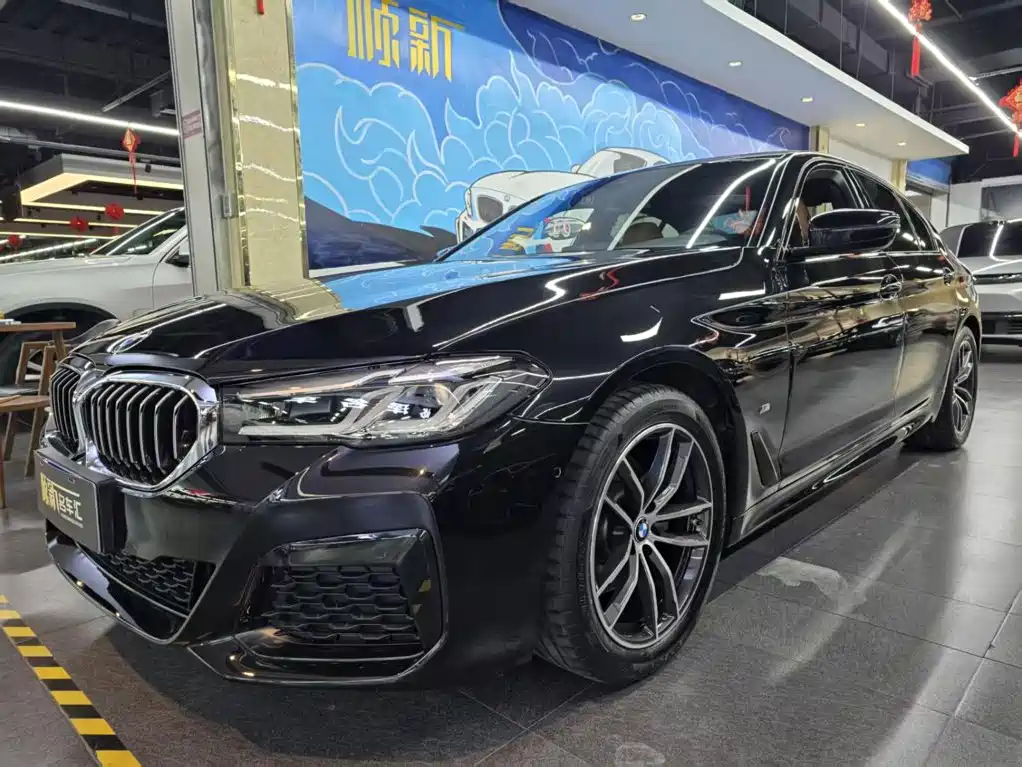 BMW 5 Series (Import)