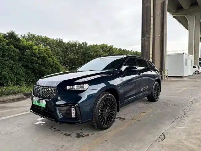 WEI PAI WEI BRAND VV7 NEW ENERGY 2020