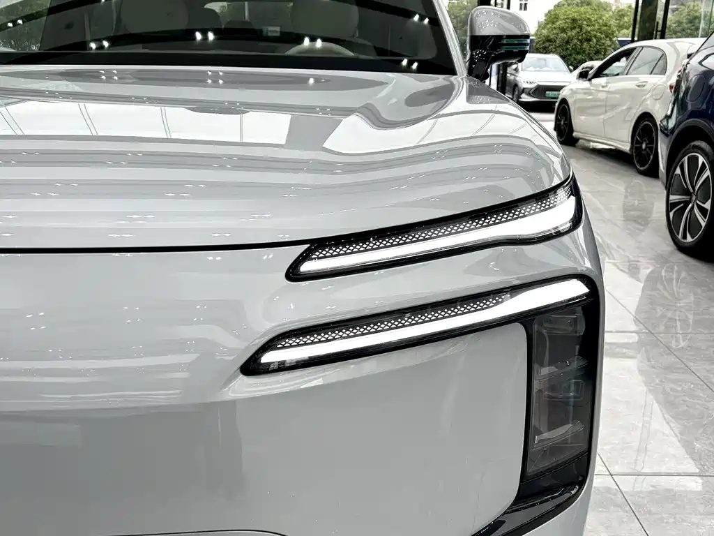 Denza Denza N8L — миниатюра 3