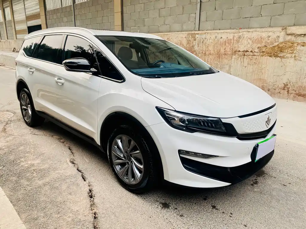 RUILAN AUTOMOBILE MAPLE LEAF 80V PRO