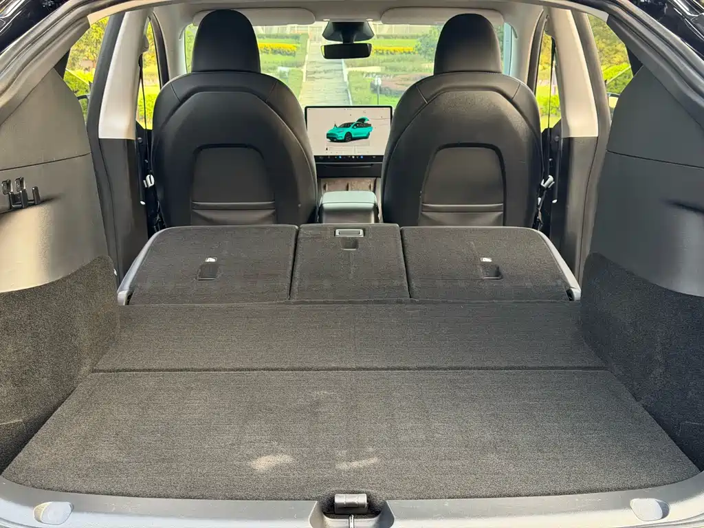 Tesla Model Y — миниатюра 11