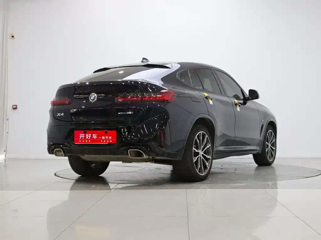 BMW X4 xDrive 30i M Sport Package, фото 4