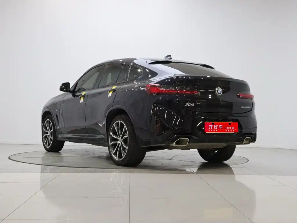 BMW X4 xDrive 30i M Sport Package, фото 6