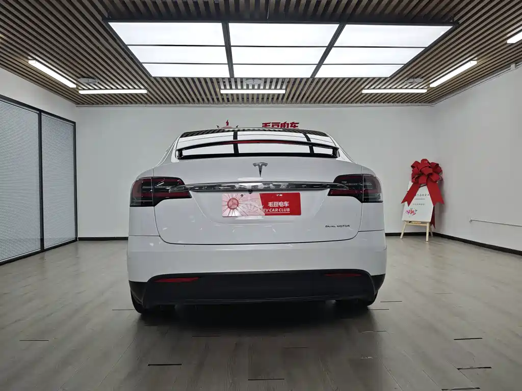 Tesla Model X — миниатюра 7