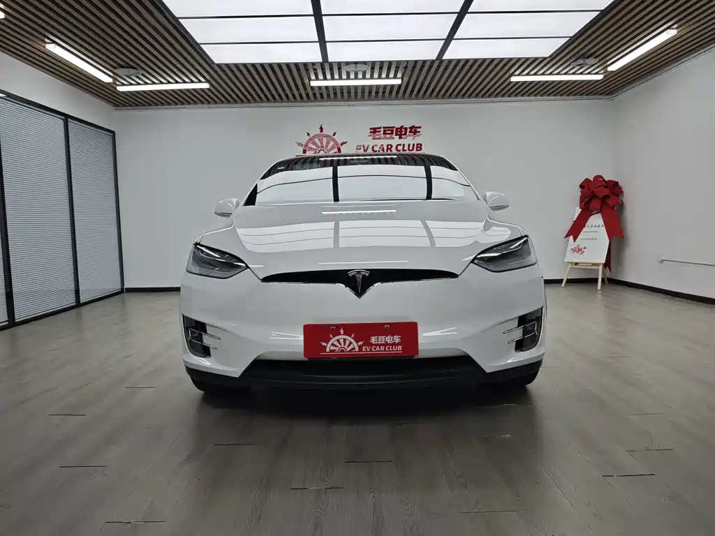 Tesla Model X — миниатюра 4