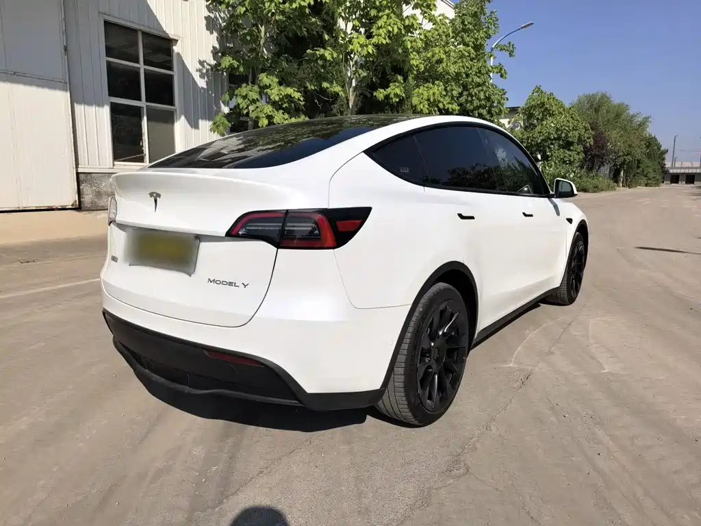 Tesla Model Y — миниатюра 7