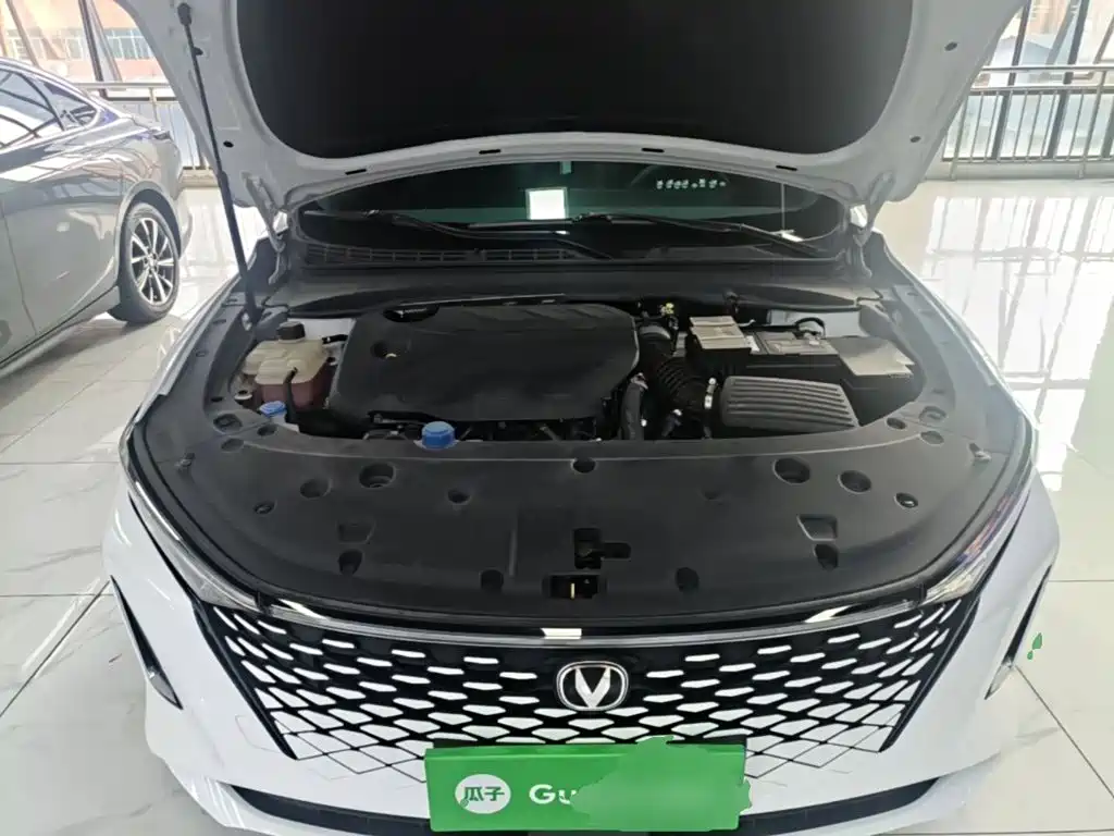 Changan Ruicheng PLUS — миниатюра 20
