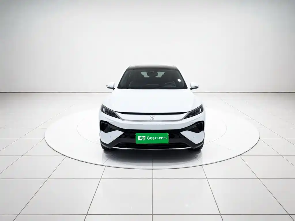 BYD Pro New Energy — миниатюра 2
