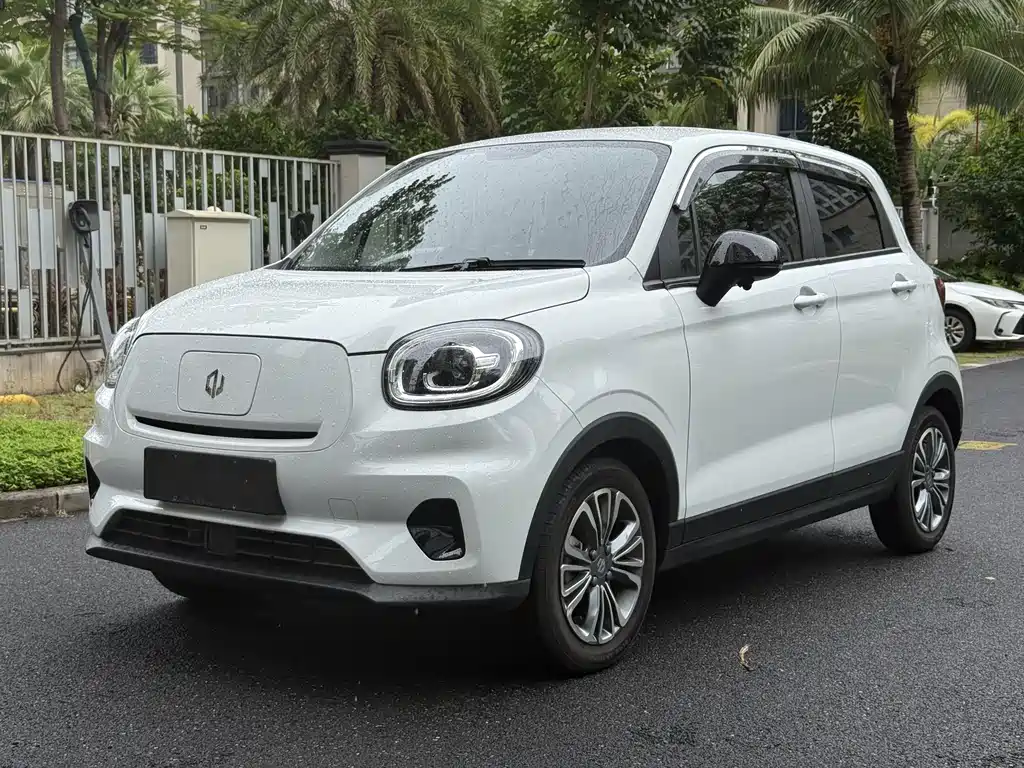 Leapmotor T03 2024 310