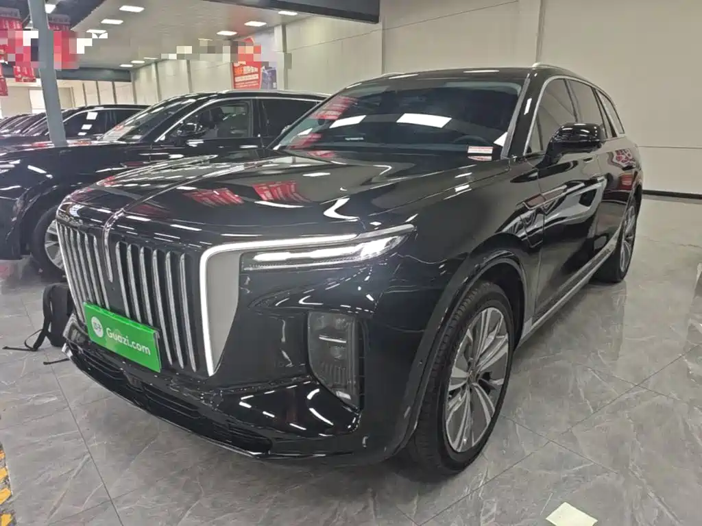 Hongqi Hongqi E-HS9 — миниатюра 2