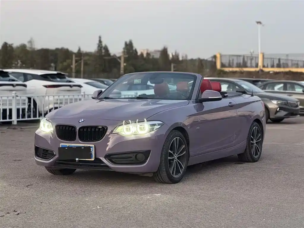 BMW 2 Series (Import) 2017