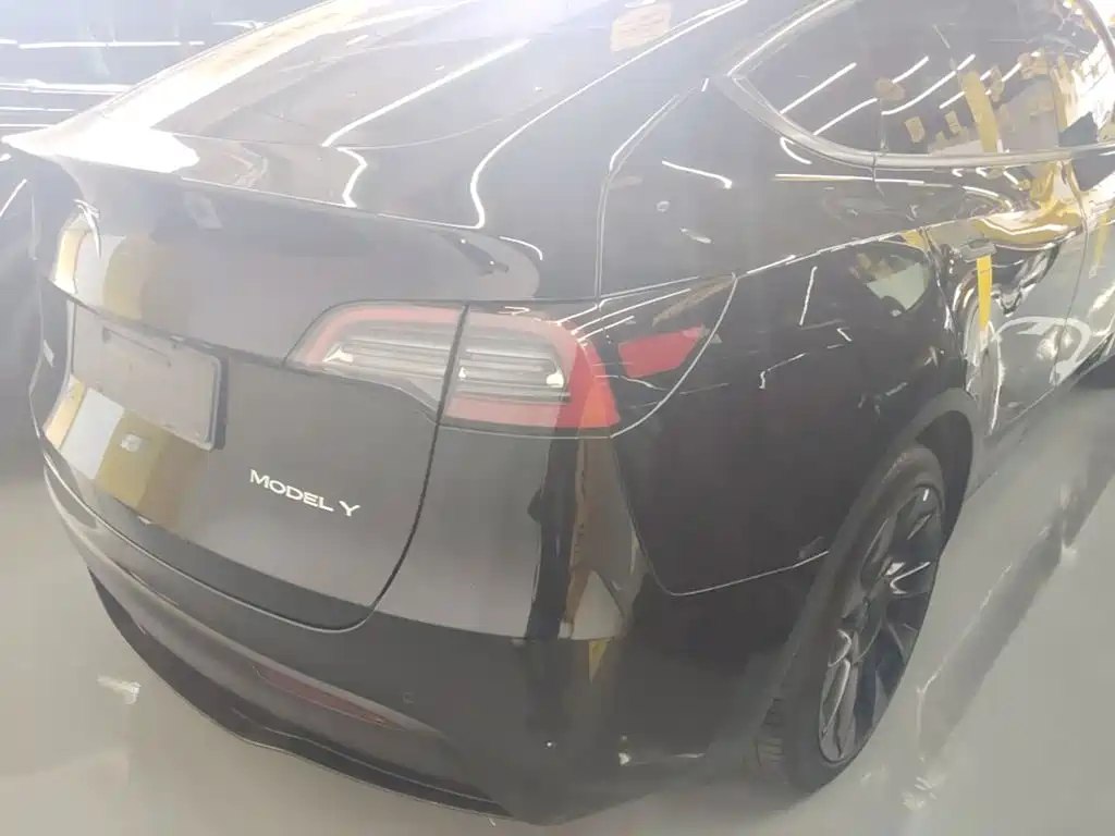 Tesla Model Y — миниатюра 7