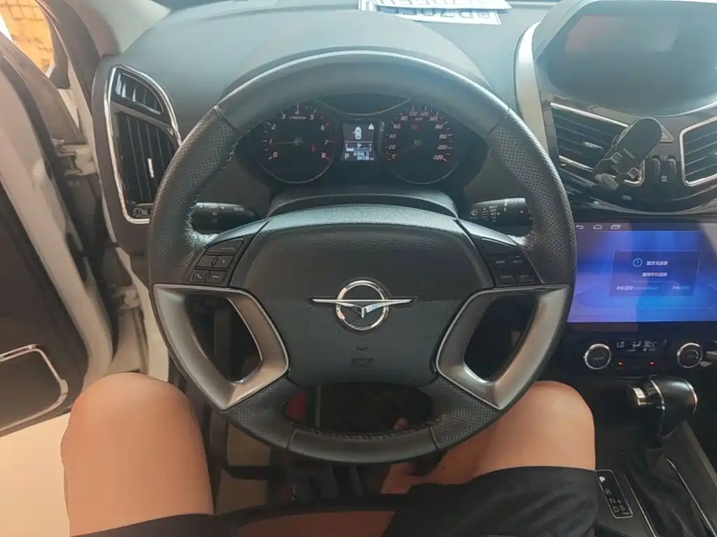 Haima Haima S5 — миниатюра 11