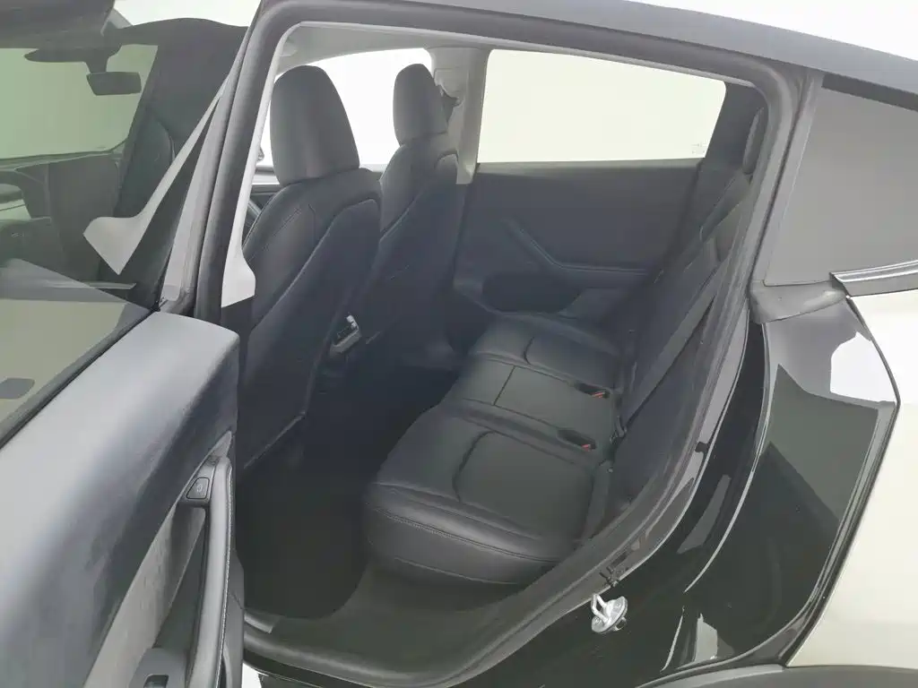 Tesla Model Y — миниатюра 15