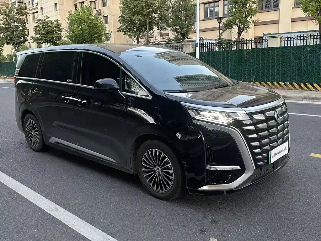 Denza Denza D9 — миниатюра 3