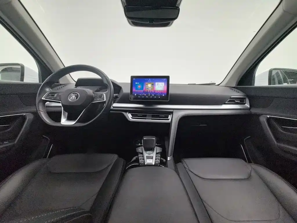 BYD Pro — миниатюра 5