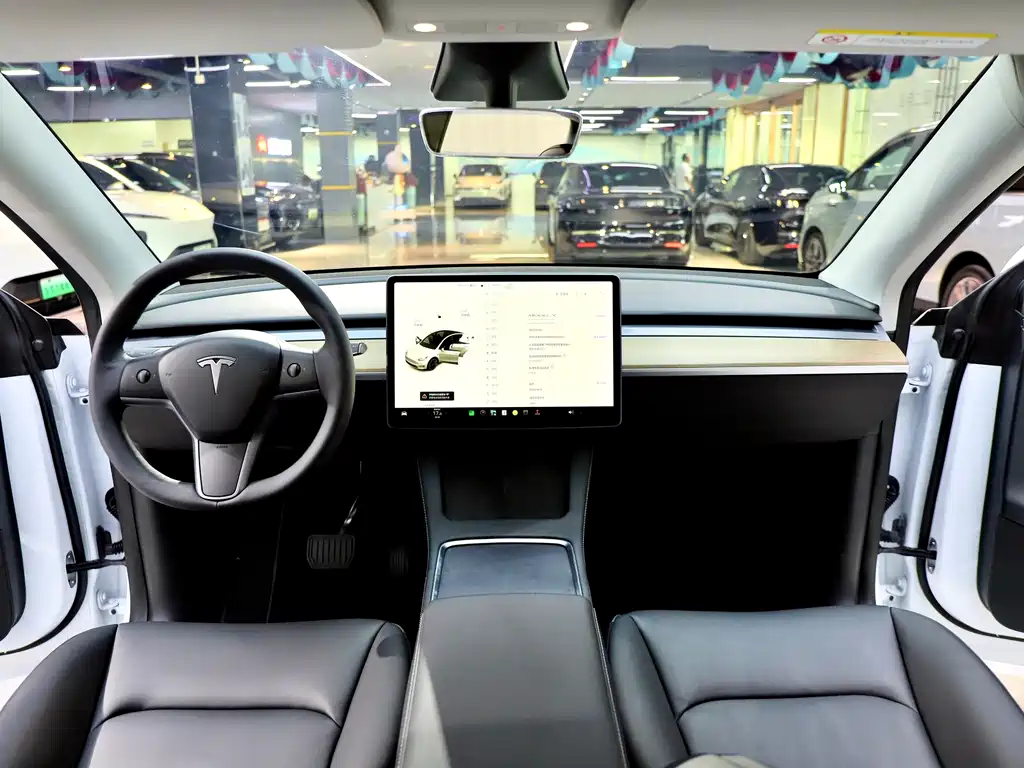 Tesla Model Y — миниатюра 10