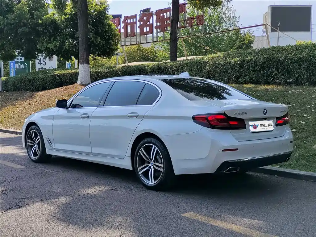 BMW 5 Series 5 2021 530Li Lead Luxury