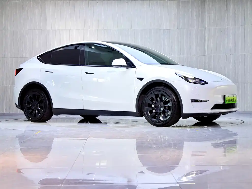 Tesla Model Y — миниатюра 3