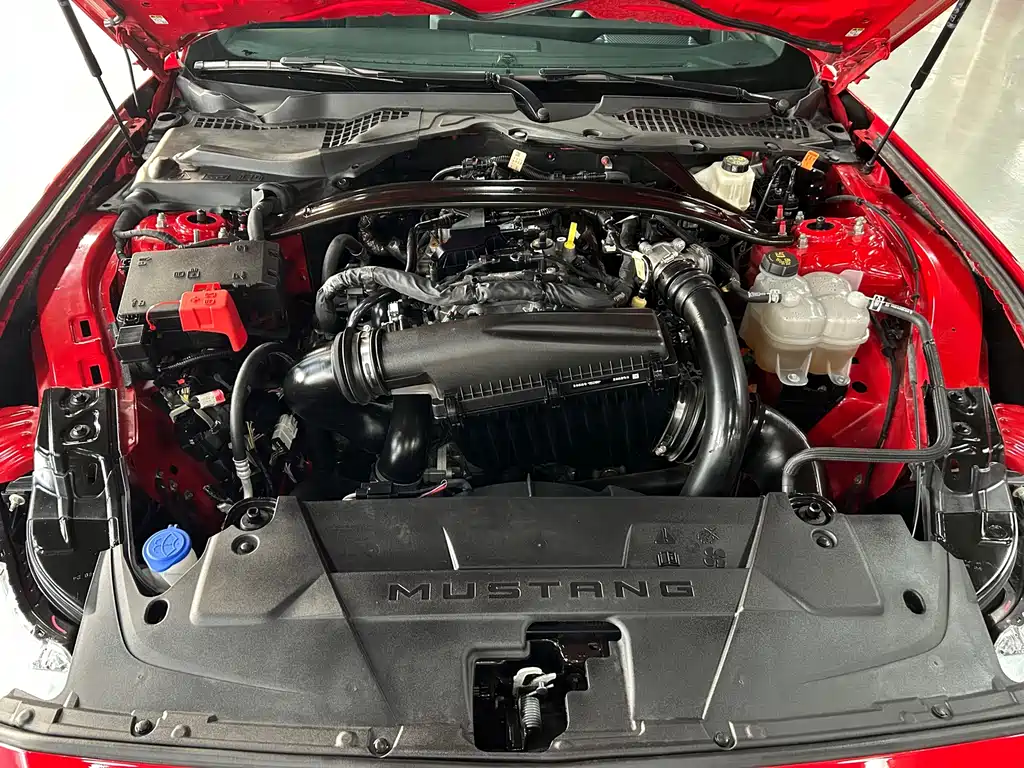 Ford Mustang — миниатюра 7