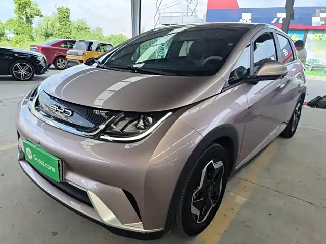 2022 BYD Dolphin