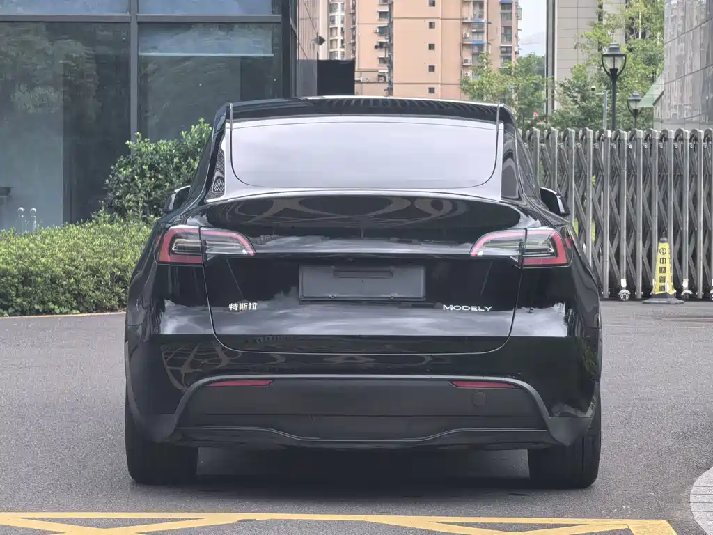 Tesla Model Y — миниатюра 3