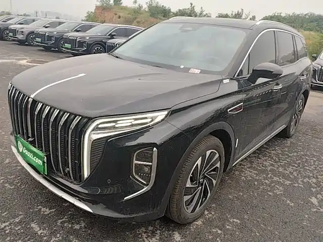 2024 Hongqi HS7