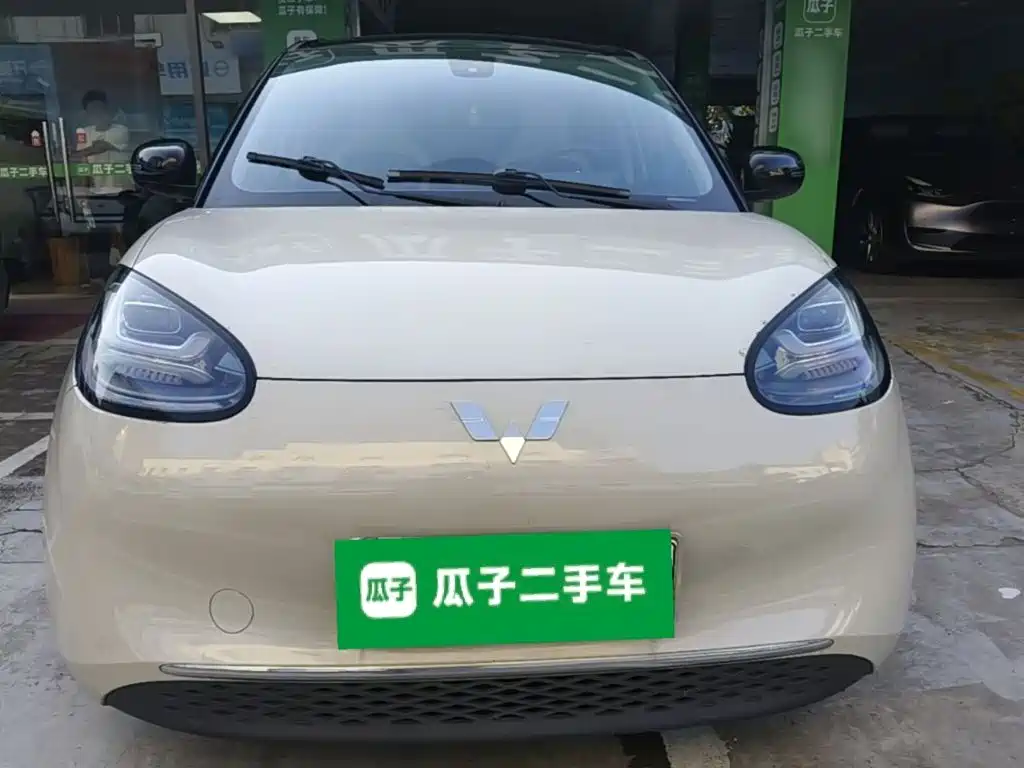 Wuling Binguo 2023 333km Enjoy