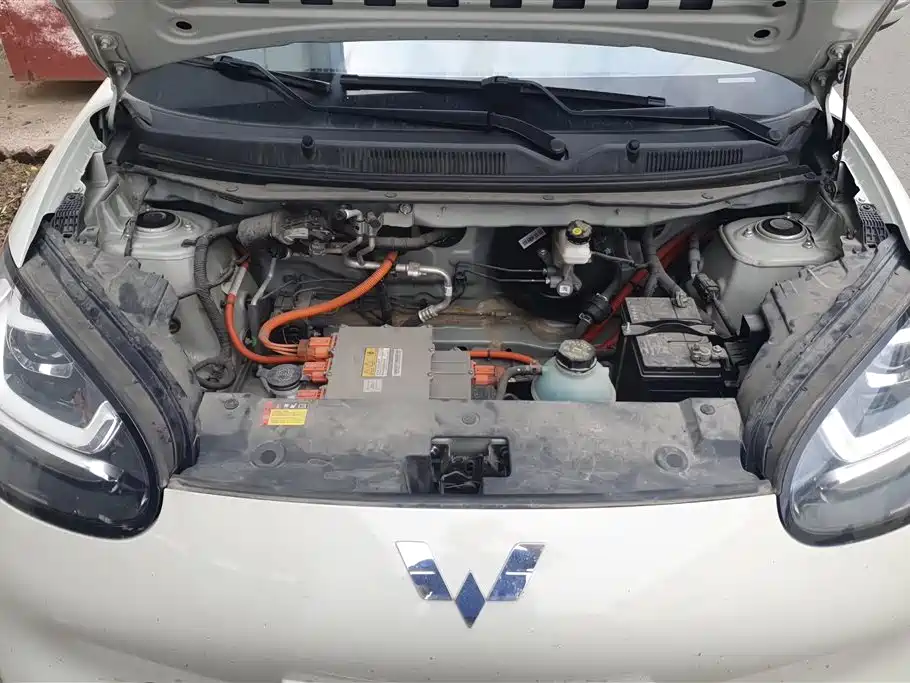 Wuling Binguo 2023 333km