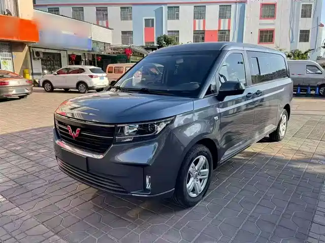 2024 Wuling Motors Zhengcheng