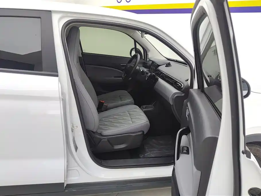 Leapmotor T03 2025 310