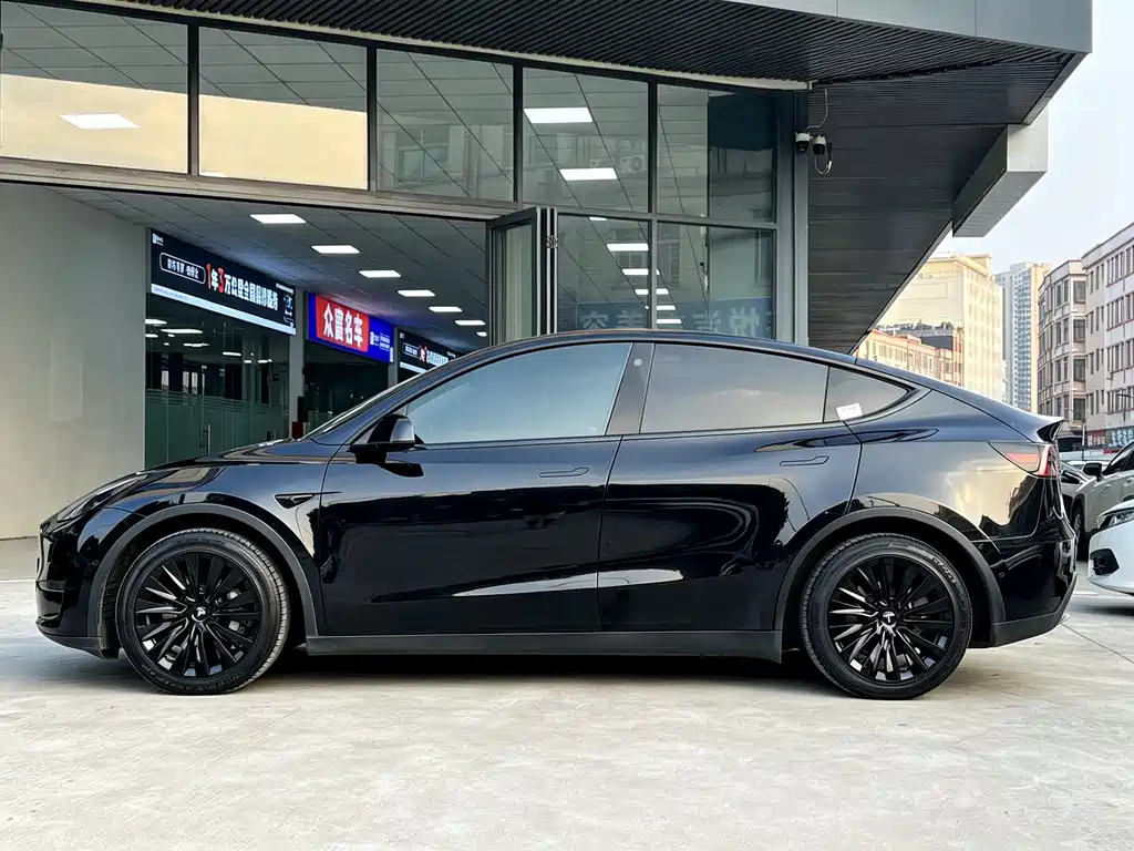 Tesla Model Y — миниатюра 4