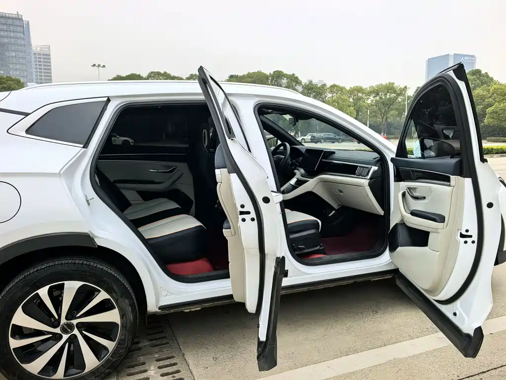 BYD SONGJIANG NEW ENERGY