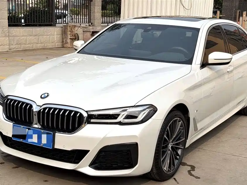 BMW 5 Series 2019