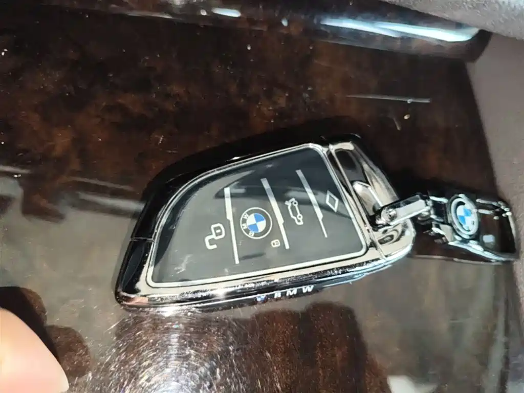 BMW 5 Series 5 2019 525Li Luxury
