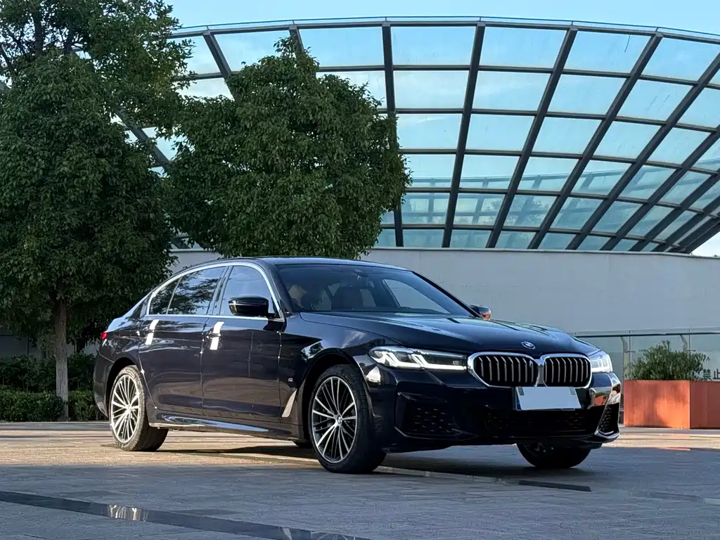 BMW 5 Series — миниатюра 3