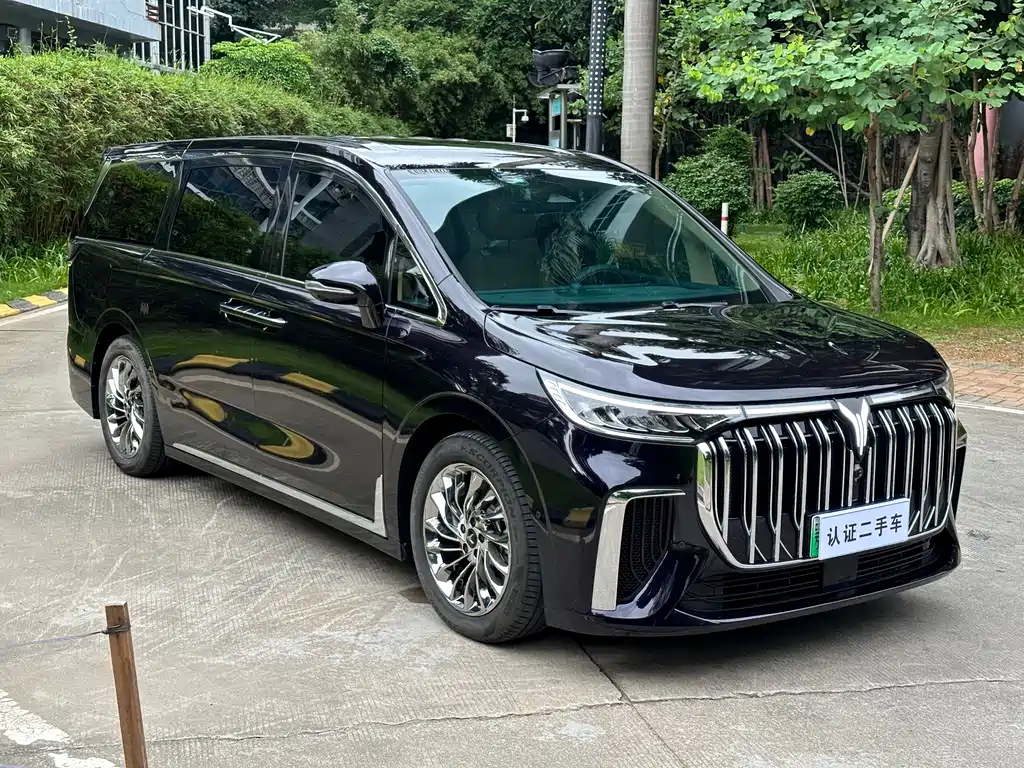 Voyah Dreamer PHEV Ultra Long Range Flagship Edition, фото 3