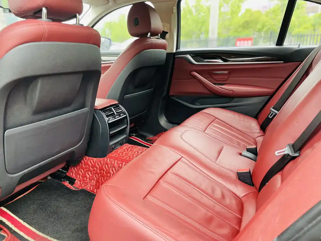 BMW 5 Series 5 2018 528Li